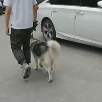 ����7���´��ʿ�棬���ű���ק��ס��ѵȮʦ����2Сʱ�������