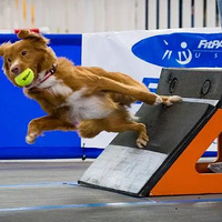 �������ŶӾ��������������˶�����˵���𣿿����ļҵĹ���������