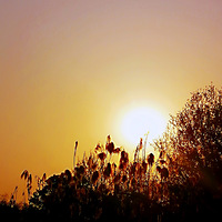 �þ�û�����ˣ�׷׷Ϧ��[ej=1f33c