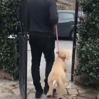 ����û�뵽��������һ�쾹�ܳ�Ϊ������ͨ��֤����