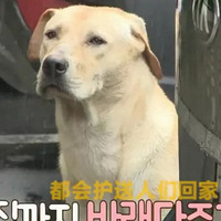 ����ÿ�커�;���ؼң���ʹ�η�����Ҳ��δ�ж�