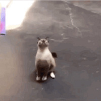 è���������޵����磬ʵ��̫���ڹ����ˡ���