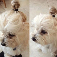 ��Ĳ��繷�����ˣ�������ͷ�����Ȳ��Ϲ��ˣ�