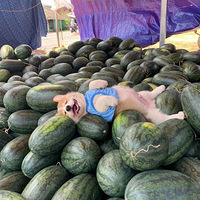 С�»����ڡ�Ѫ�����У����˱�����һ��Ц���ˣ����ݼ�100�֣�