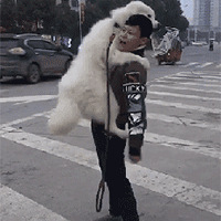 ��ΰ�����޹�����Ƶ�ع⣬����Ц��������Ȯ�����ֳ�����������