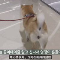 ���Ѵ����ӳԴ�;���Ϊ��ƭ�������磬������Ȼû����ѵ���ͣ�