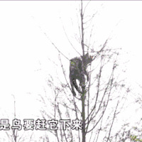 ��è���챻��ˮɼ����5�죬�������������½��ܲɷã����������