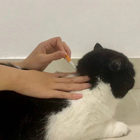 �ͺ�����ѧ�ĳ��ϳ��ְ����˿ͣ��Ӵ�ÿ���Զ�������ʳ��