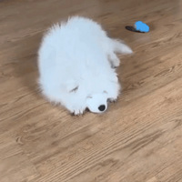 ��Ħ����������Ϊ��С�������ȫ����������������ˡ���