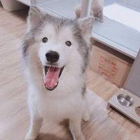 ������ң����˸�Ҫѵ��������������䡰���ٺơ���