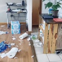 ���⿿�������������ֽ��һҹ��ͱ����Ӹ��ܹ��ˡ�