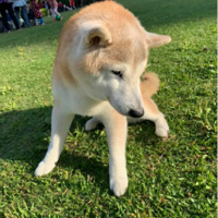 �ϲ�Ȯ����Ե�޹ʴ�ͷ����ʺ���������ķ�ʽΪ���ӱ���...