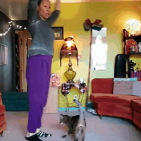 ���鵼��������������ν̰��٣���������è��һֱ���ң�