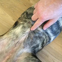 ����û�ж��ꣿ��Ȼ�У������Ƚ�С