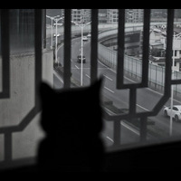 è�����Ԥ֪����������ǰ��͵͵����������������࿴����...