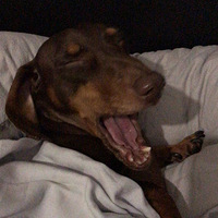 ���˾ӼҸ������ֻ����Ϊ̫�˷ܣ���β�Ͷ�Ť���ˡ���