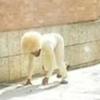 ���޼ٹ�֮��������ɳ�������ֳ������ˣ�