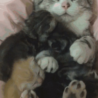 è�裺��������ʲô����ΪɶҪ���ޣ�����