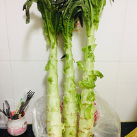 ������ĸ����������������ʵ꣬ߺ����һ�˸߹�һ�ˣ��ڱ���˭��