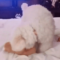 Цʺ�ˣ����һ����ɣ���Ͱְ�ȥ�ϰ࣬������һ��͡�����������