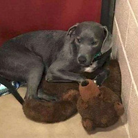 ����ȷ����������10�������������˹�������һ�ա���