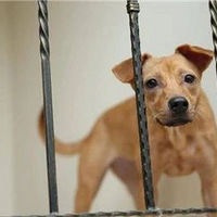 ��Ȯ�쳣�ͽУ�����������ʧ��ʹ�ޡ�