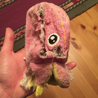 ����������͵�˱�ĵ���è����Ȼ�õ����ܺ��ߵ�׷����