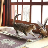 ����ͻȻ�ɽ���һֻѼ�ӣ��Һü�������ֻè��Ȼ���������һĻ��