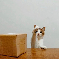 è������һ�����ӣ��Ҿ����ȷ�ȫ���࣡��