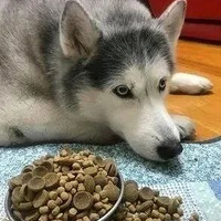 ˺ůľٶһҲ⣡