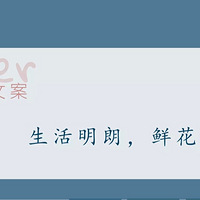 �ܲ����İ��ջ�[����] ������������İ���һ���̲�ס��