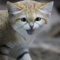 ɳĮè������⿨�������۾����������ȵ�