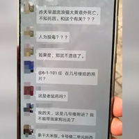 �ӱ�ĳС��������è������ɱ�����־���ͬһ�����µ�ҵ����