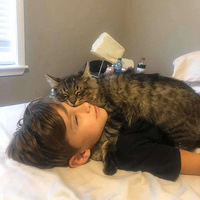 �к���ʥ������Ҫè�������Ը�����������һ�𣬺����ۣ�