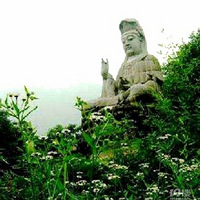 ��������ߡ�4.5����ɽ������⡫�ƹ�������������536��