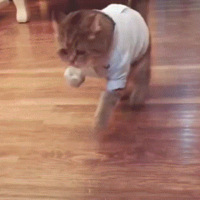 è�仼�Ϲֲ����β���������Σ��ҽ������һ�پͺ��ˣ�