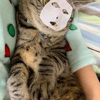 ��Ϊһ���ϸ�Ĳ�ʺ�٣��㻹�ö��������˷���Ĥ��