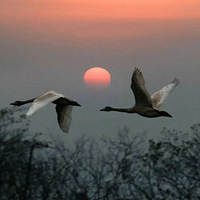 ��������������ǵĽ����ۣ�һλ����У��������˼��