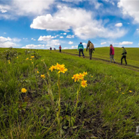 ���ױ���ͽ�����У�6��5��ͽ����Խ���ױ������ԭ