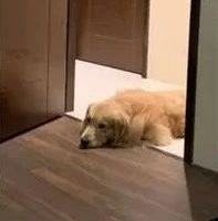 ������ڵ����ſڲ�Ը�뿪�������Ӻ�����