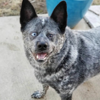 ��Ϊ����̫ɵ����㱻��������