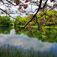 ֻ����������֮�У���֪��Ϧ��Ϧ��