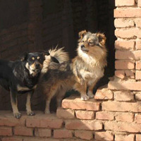 �������������̲����ǧֻ���˹������У��������~