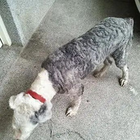 ��50�ﹷ����֣����˱�ʾ���أ���������9����