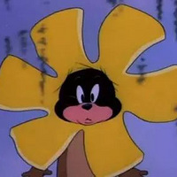 ���˸�è���ϳ���Ȧ����Ϊ�����ж����㣬û�뵽...