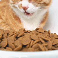 è����ġ�������ǡ���������Ʒ������ֵ��������