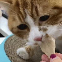 �����ǲ����ܵģ��Ⱳ�Ӷ������ܵģ�