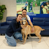 �������ţ���ʺ���ó��а��ķ�ʽ����ȫ��һ���