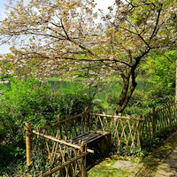 ������أ��Է��˼䡣