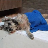 ����12�꣬����ѡ���ҹ�����뿪����������������